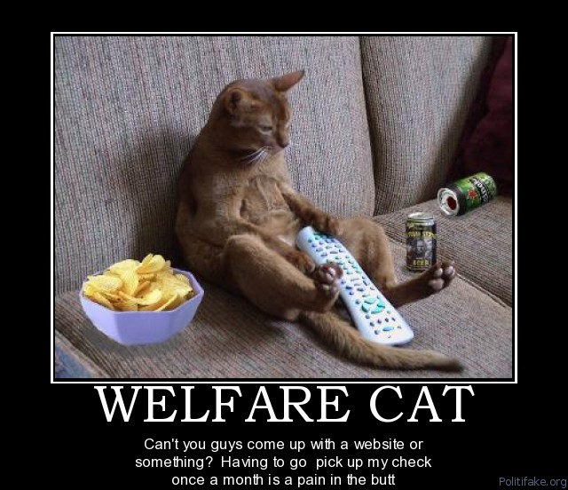 welfare.jpg