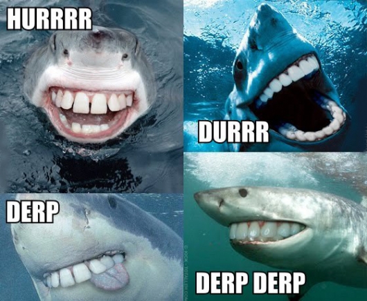 shark-hurrrr-durrrr.jpg